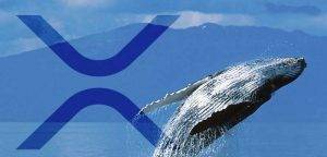 40 Million Worth of XRP Withdrawn