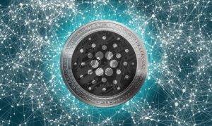 Immersion Imagery Cardano
