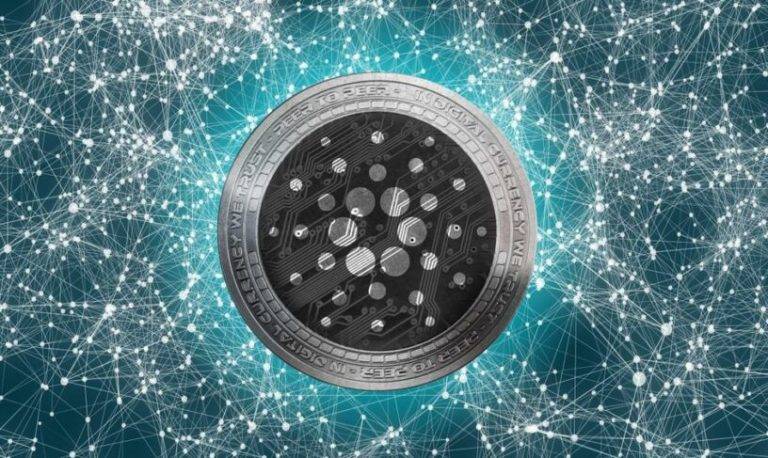 Immersion Imagery Cardano