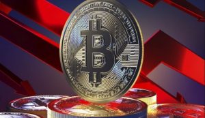 swiss national bank not ready to hold bitcoin 2