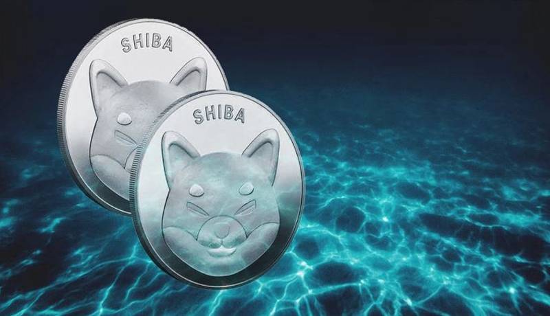81 of shiba inu investors are underwater but long term holders increase