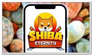 shiba inu community issues alert on fake shiba eternity apps