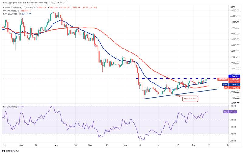 روزانه BTC USDT
