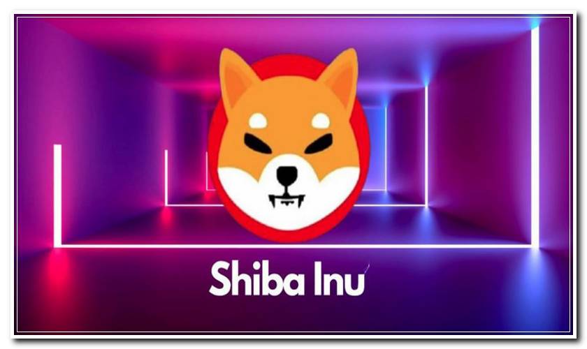 shib is one of most viewed assets worldwide on major crypto data portal