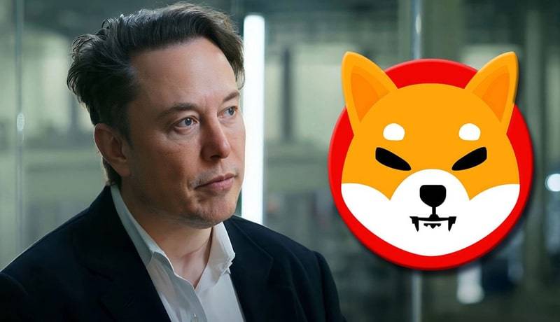 users can buy elon musks newly launched perfume burnt hair with shiba inu