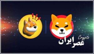 shiba inu shib vs bonk bonk who wins this hype battl