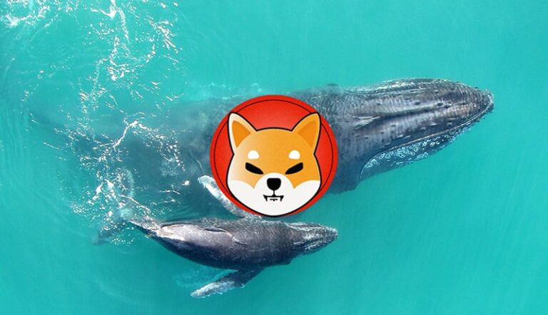 Whales Grab 8.7 Trillion Shiba Inu