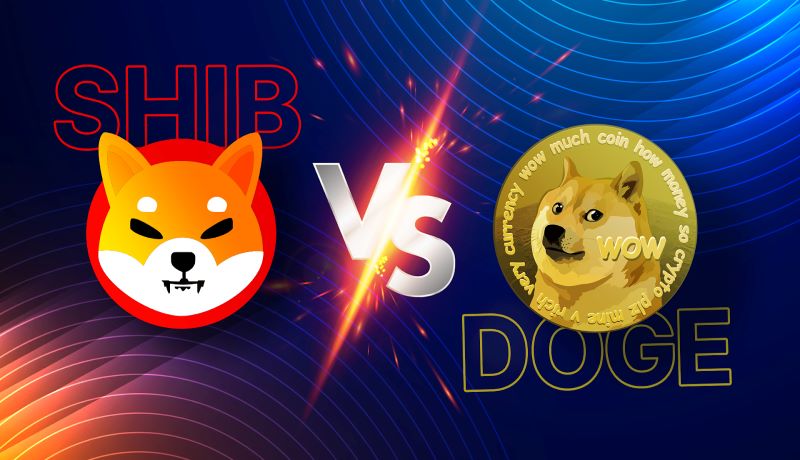 shiba vs doge