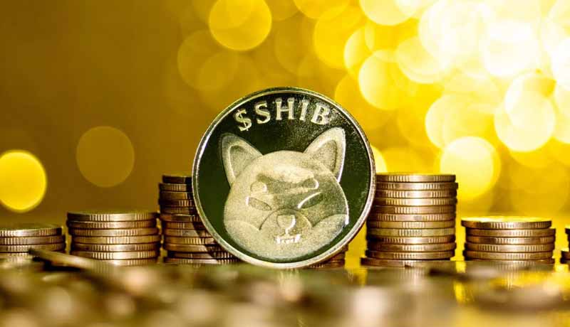 hinted by this shib burner