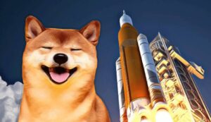 shib market cap overtakes binance usd