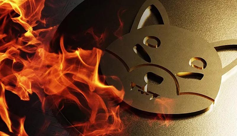 shiba inu burn rate spikes