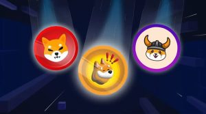 5 reasons to buy and hold shib floki bonk right now ramzarz min