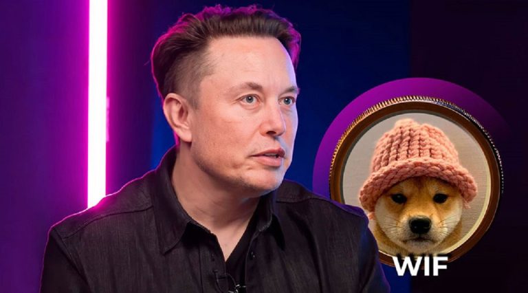 elon musk shoutout to solana