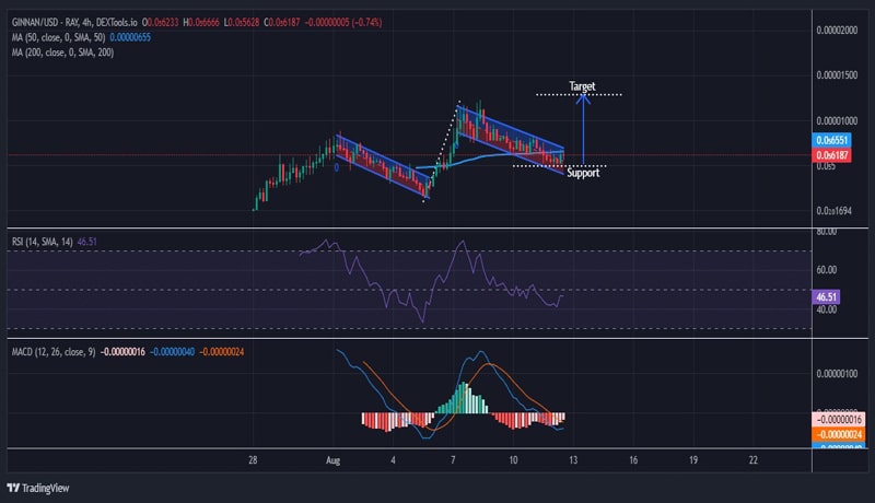 GINNAN 1 1 2 12 min1