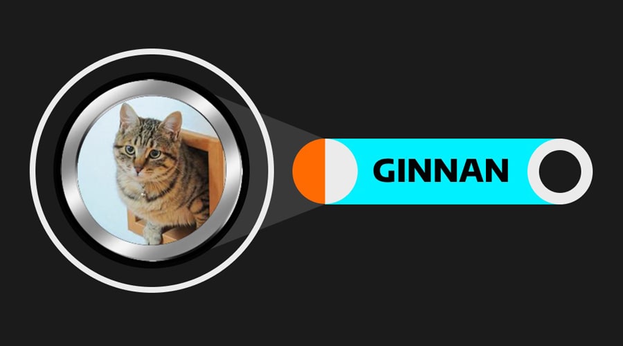 GINNAN 1 ramzarz min