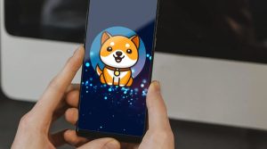 BabyDoge ramzarz min 1