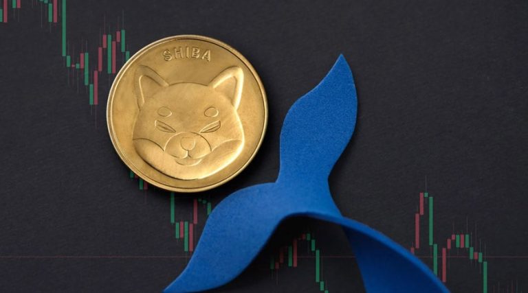 shiba inu in trouble is a comeback possible after a 12 plunge ramzarz min