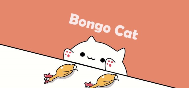 what is Bongo Cat ramzarz