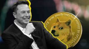 DOGE MUSK 2
