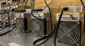 169593140 e1746362049253