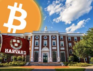 image 2025 11 15T110604.518