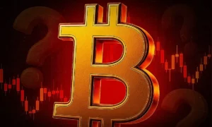 image 2025 11 19 10 11 07