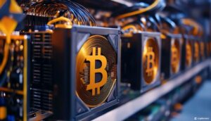 image 2025 12 13 16 55 52